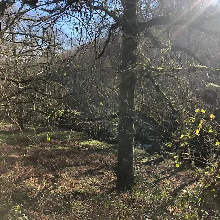 A Casa Do Chico * Оренсе