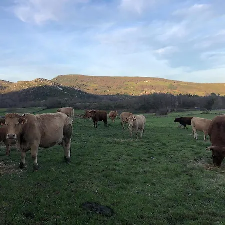 A Casa Do Chico * Оренсе