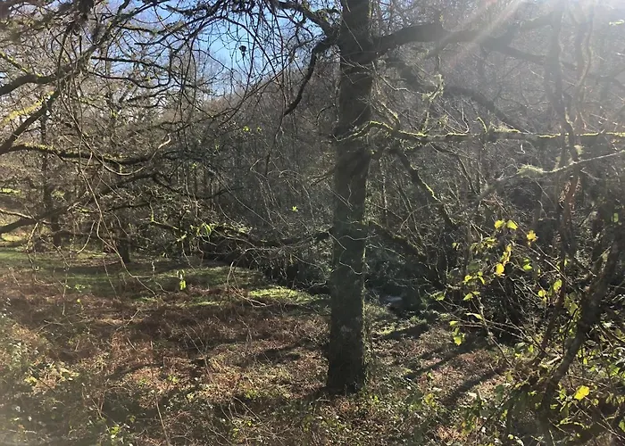 A Casa Do Chico * Оренсе