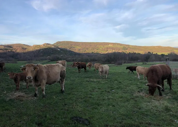 A Casa Do Chico * Оренсе